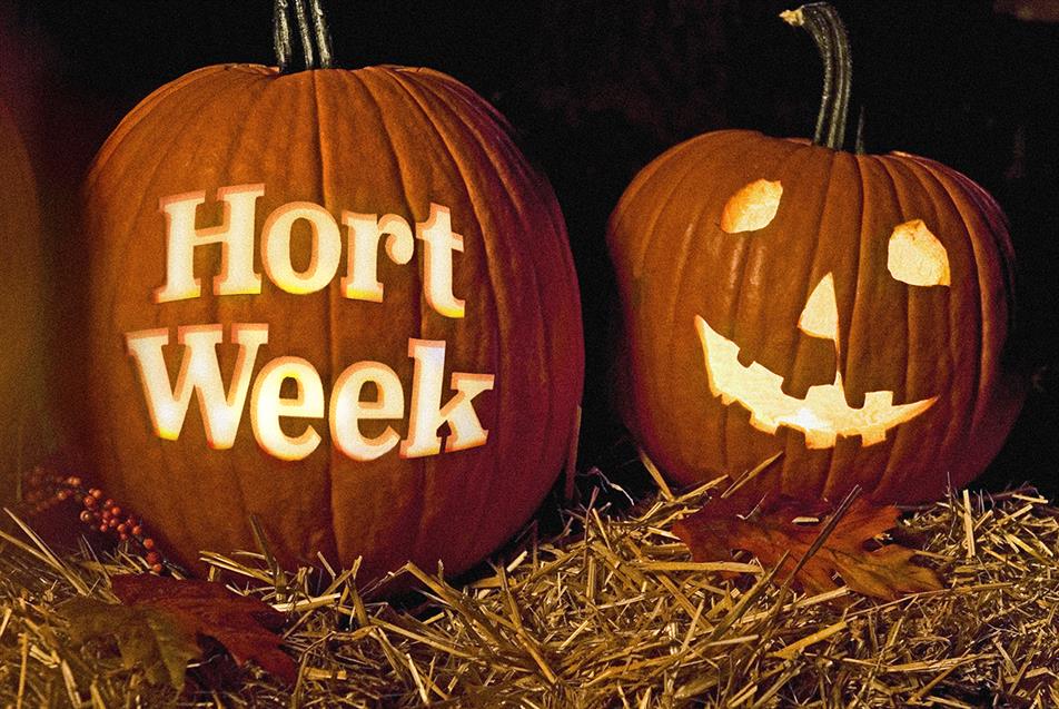 HortWeek logo carved into a pumpkin